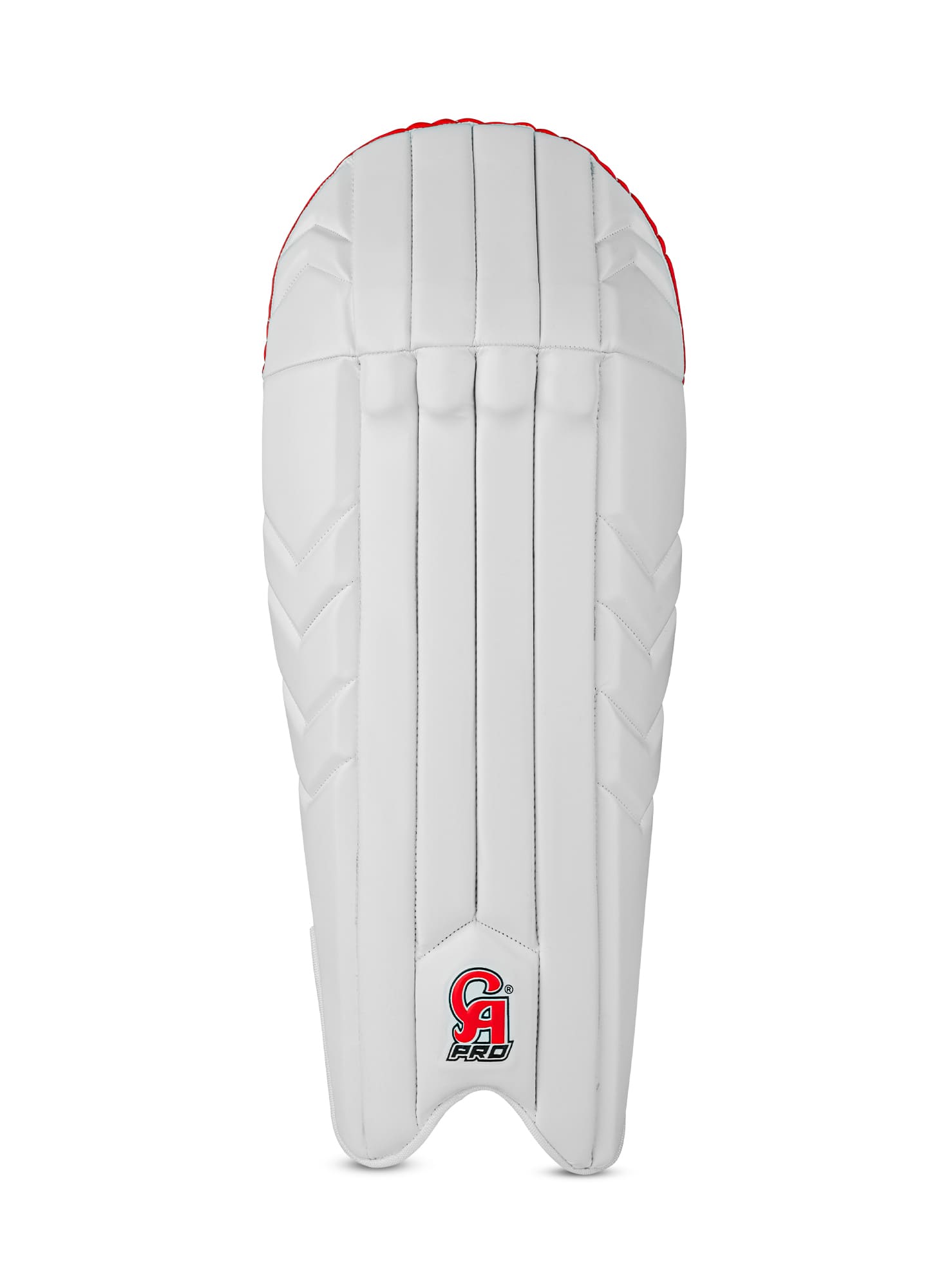 Pro Player's Edition Wicket Keeping Pads